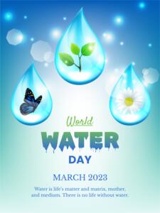 Creating Spring Art with Water Drop  Butterfly | Poster